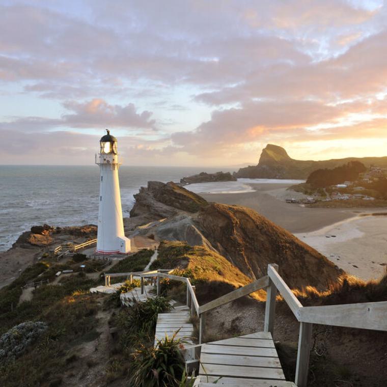 Photo of Wellington ​​​