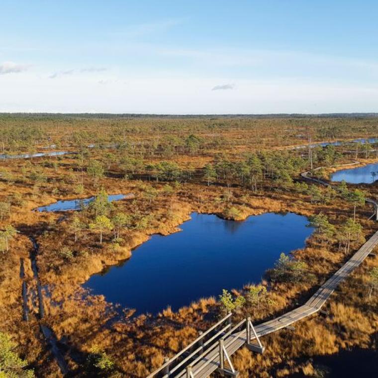 Photo of Louisiana  ​​​