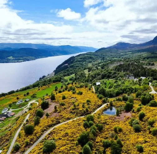 bunloit gorse